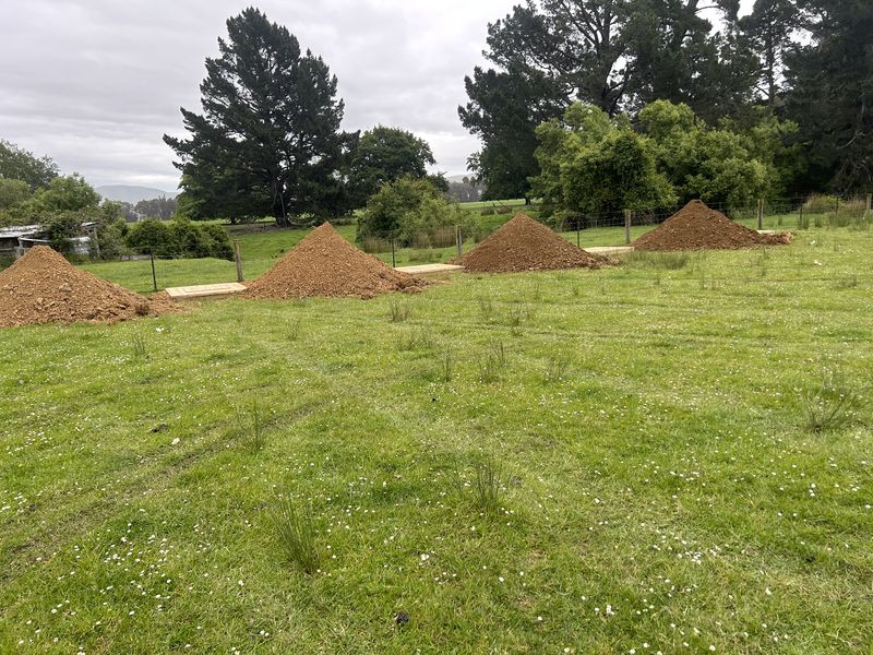 Offal pit drilling South Island